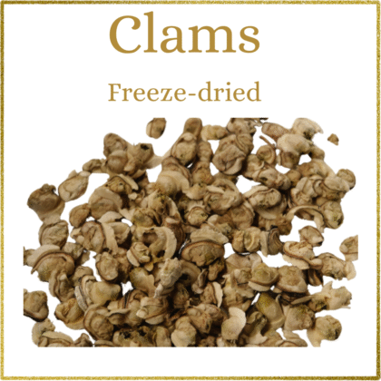 Samudra: Freeze-Dried Clams