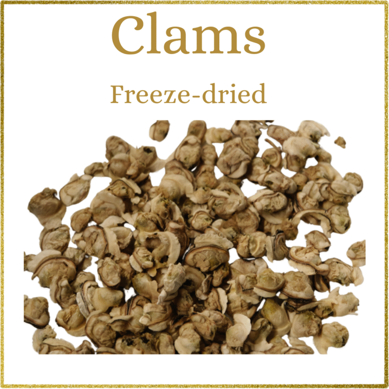 Samudra: Freeze-Dried Clams