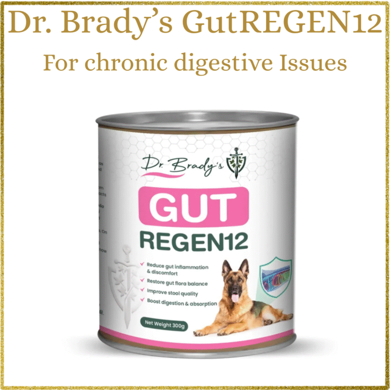 Dr Brady’s Gut Regen12 – For chronic gut issues in dogs