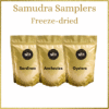 Samudra Samplers