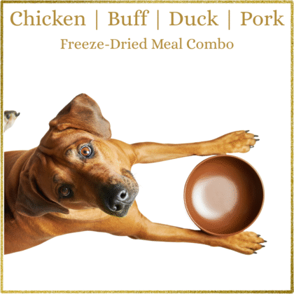 Basics Meals