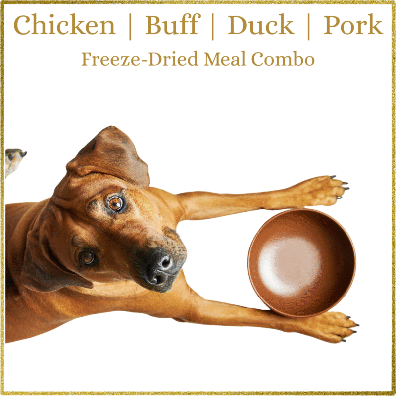 Basics Meals
