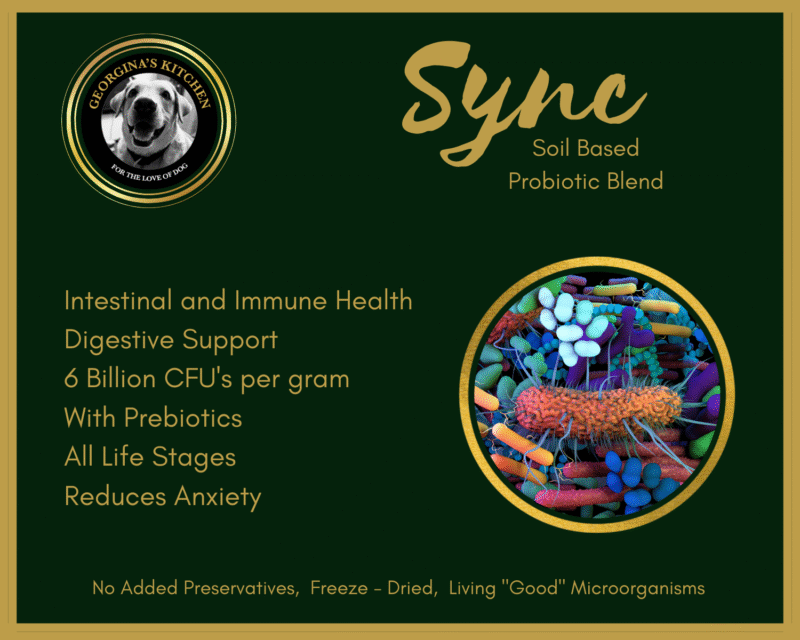 Sync - Image 2