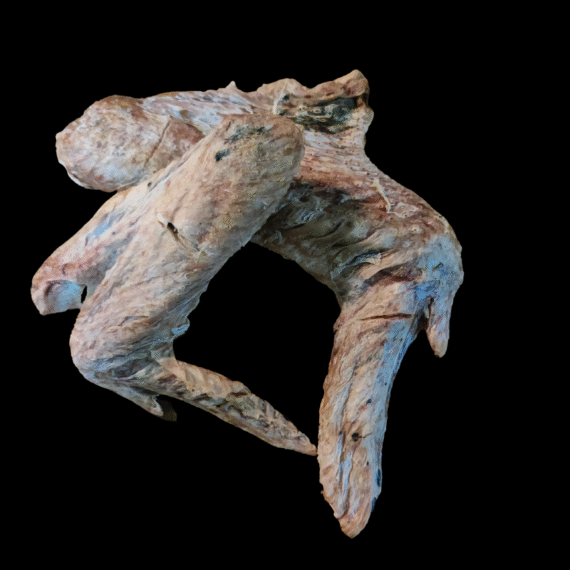 Freeze-Dried Turkey Wings (2 pieces)