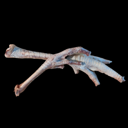 Freeze-Dried Turkey Feet (2 pieces)