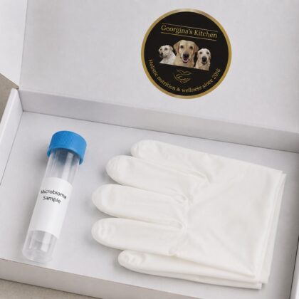 Dog Gut Health Microbiome Test