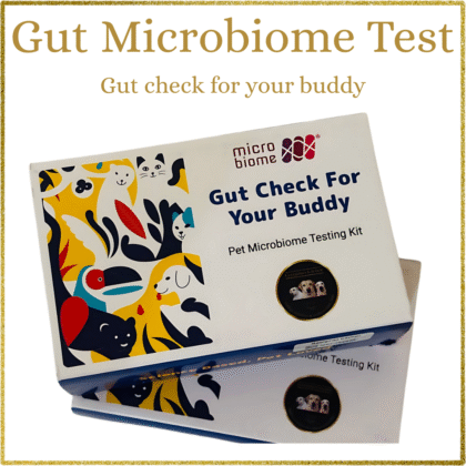 Gut Microbiome Testing for Dogs (with Shotgun Sequencing)