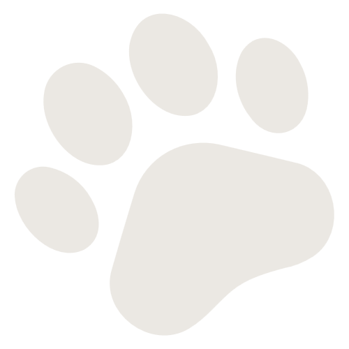 paw image
