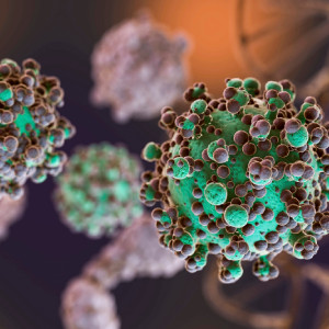 Amylase