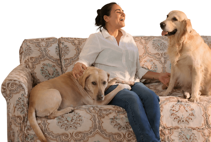 Homepage hero image mobile view