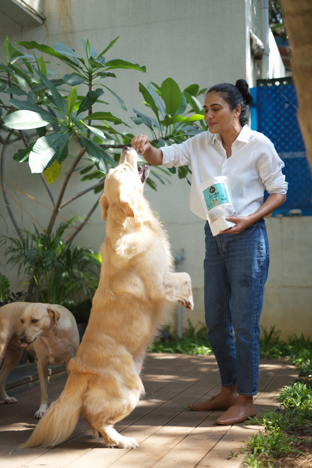 Lee Georgina with their dogs