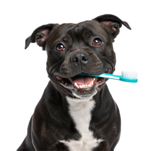 Helps reduce plaque and tartar while strengthening jaw muscles