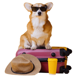 Easy to carry for trips, emergencies, and daily convenience