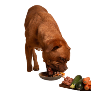 Packed with essential vitamins and minerals for overall health