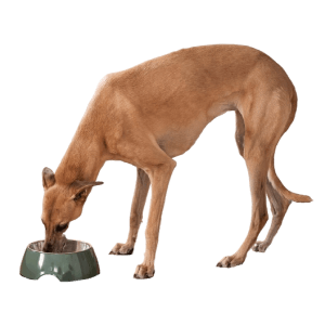  Encourages healthy eating habits naturally