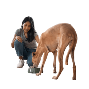 Rich in essential minerals, vitamins, and protein