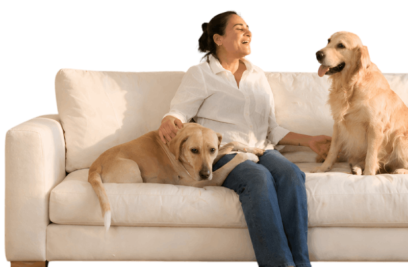 Georgina Kitchen Banner Hero Section Mobile View