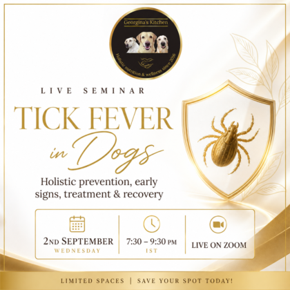 Tick Fever: What Every Dog Parent Should Know