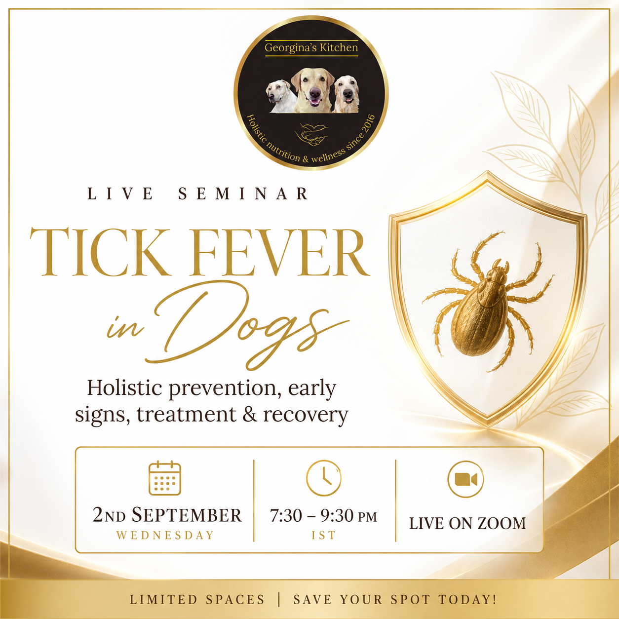 Tick Fever: What Every Dog Parent Should Know 1 Tick Fever: What Every Dog Parent Should Know
