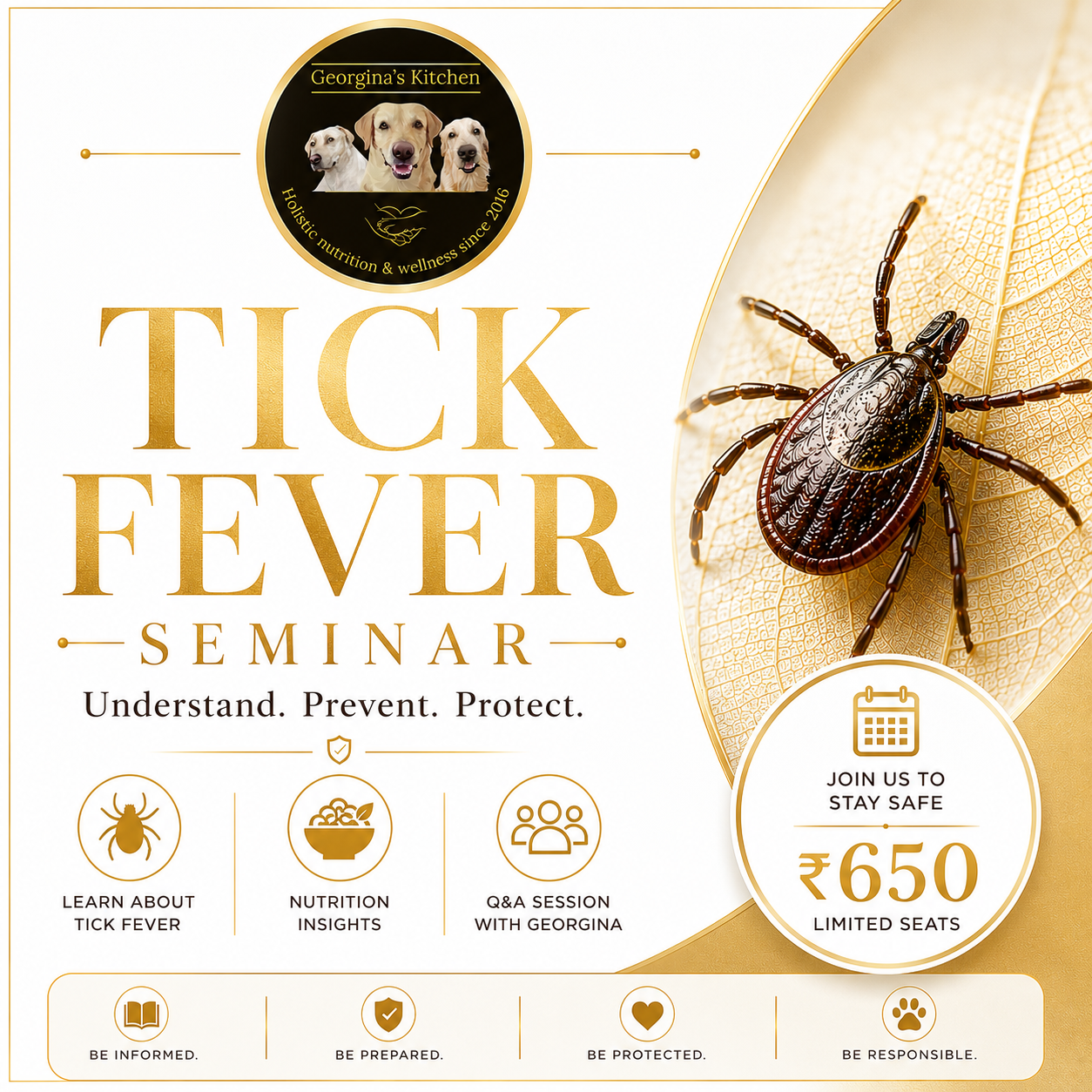 Tick Fever: What Every Dog Parent Should Know 1 Tick Fever: What Every Dog Parent Should Know