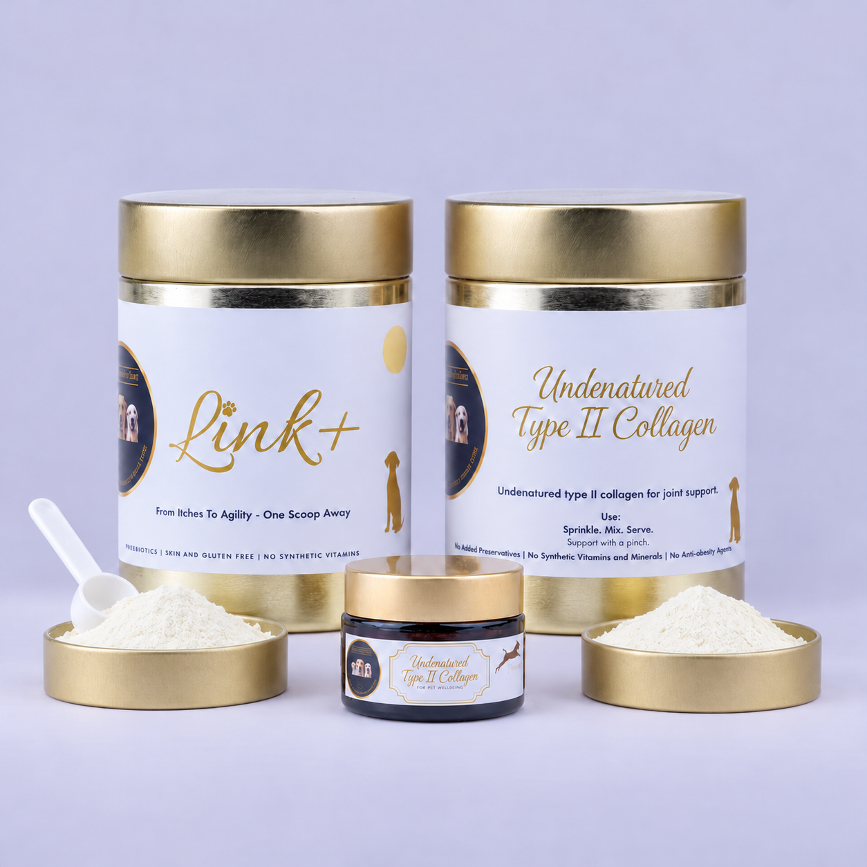 Home 47 Collagen Type II joints Link